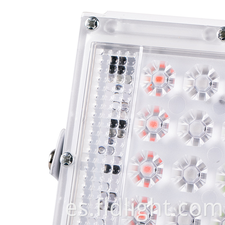 wintersweet outdoor smd led